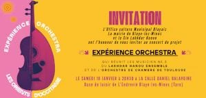 Expérience Orchestra