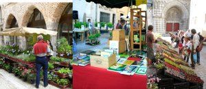 Marché aux livres et aux plantes