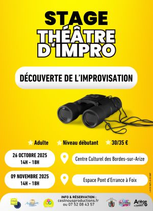 Stage découverte : Théâtre d'Impro