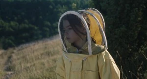 Film : 20 000 espèces d'abeilles