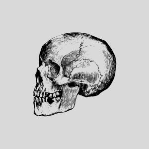 Les grandes étapes de l'évolution culturelle de l'Homme avec Henry de Lumley