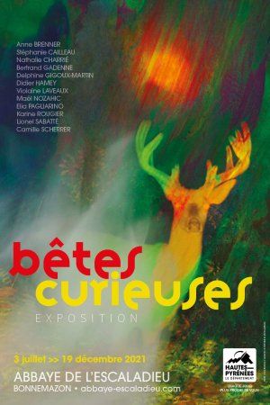 Bêtes Curieuses