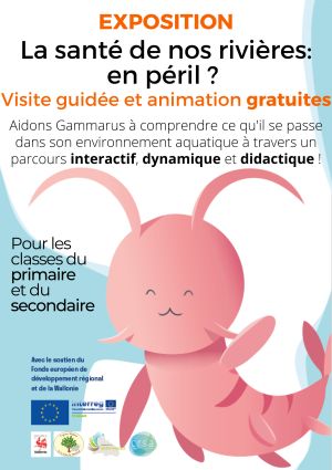 Santé de nos rivières : en péril ?