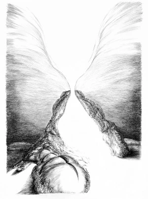 Camille Messager, dessins et Tarik Essalhi, sculptures