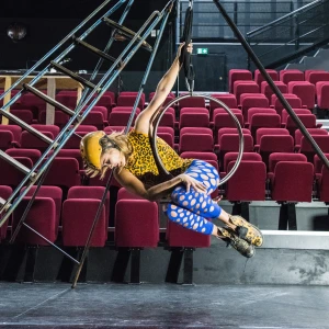 Cie d'ielles - Tôle Story