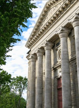 La Daurade à la loupe