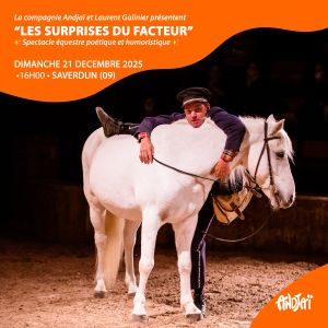 Les surprises du facteur