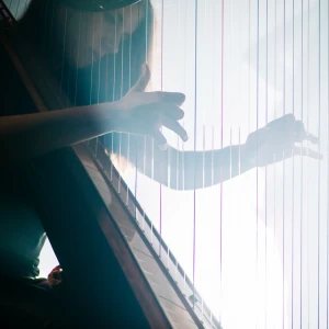 NUIT DU GESÙ · Jardin suspendu