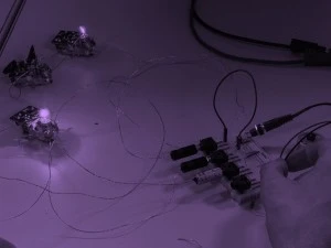 Notre nature électrique : atelier musical avec Gauthier Déplaude