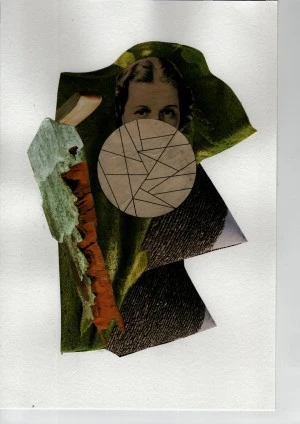 Exposition Marie Saint Pierre : Collages