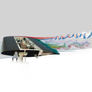 Nouveaux designs pour les ailes d'avion du futur bioinspirées