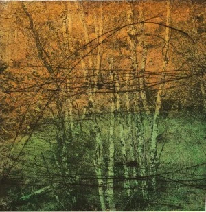 Café Ombres Blanches - Exposition Gravures - « Ratures » - Luc Detot