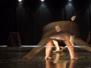 Evolution de Dadadzo Cie