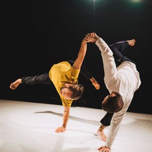 SENSIBLES -Cie Les hommes sensibles-