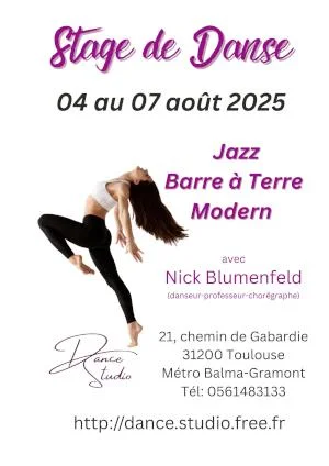 Stage de Danse d'Eté avec Nick Blumenfeld