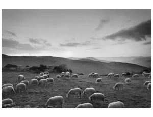 SOUS LE CIEL - Raymond Depardon, Nicolas Tubéry