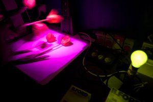 Photographie argentique et numérique