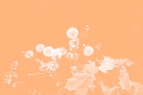 Le Poème de la Terre