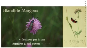 Rivages et laisses de mer • Atelier d'écriture créative