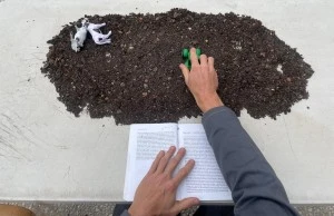 NOUVELLE LECTURE PUBLIQUE • Le COmité de Lecture Publique