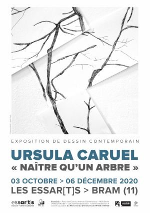 Exposition "Ursula Caruel : Naître qu'un arbre"