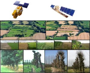 Dynamique des paysages naturels et agricoles : apport des images Sentinel