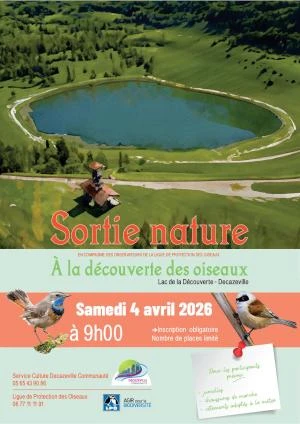Sortie nature à la découverte des oiseaux