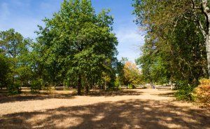 De feuilles en feuille