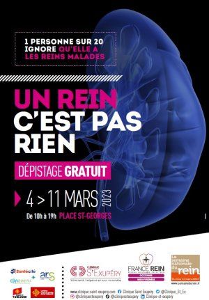 Dépistage gratuit des maladies rénales à Toulouse