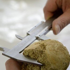 Conférence | À la recherche de notre Histoire. L'exemple de l'île du Tromelin et de l'archéologie préventive en Languedoc 