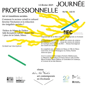 Journée Professionnelle. Art et transitions sociales.