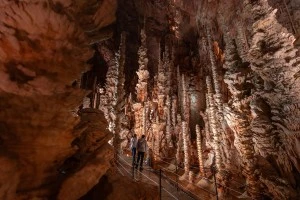 Concert sous roche · Here and Now Walid Ben Selim & Marie-Marguerite Cano à la grotte Aven Armand