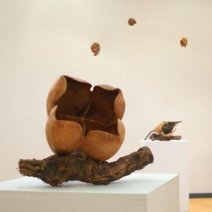 Exposition | Graines de terre | Séverine Cadier