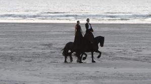 Entre chiens et loups