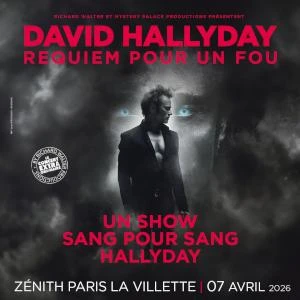 David Hallyday, Requiem pour un fou
