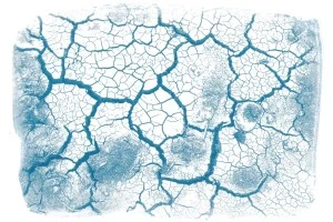 Exposition cyanotypes de Fanette Bruel : Paysages Intérieurs - Paysage Sensible