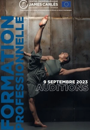 Audition - Formation professionnelle 