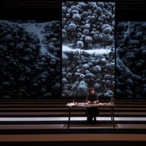 L'été des charognes