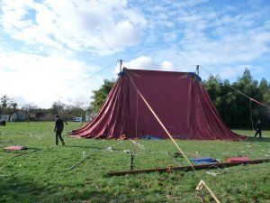 LES INCONSOLES- Le parti collectif, Laure Duthilleul