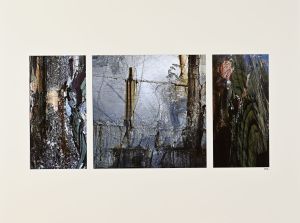 LEAH BOSQUET, Metamorfòsis, photographies