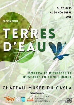 Terres d'eau, portraits d'espèces et d'espaces en zone humide