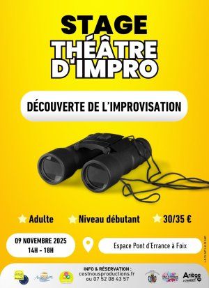 Stage découverte : Théâtre d'Improvisation