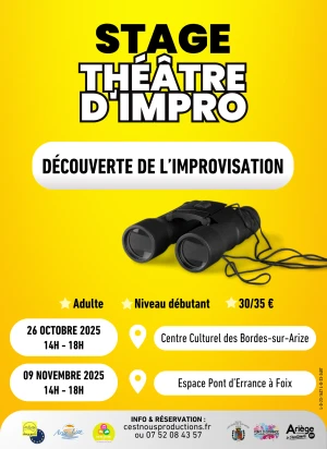 Stage découverte : Théâtre d'Impro