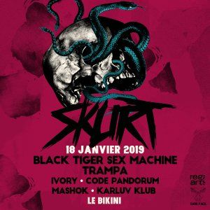 SKURT w/ Black Tiger Sex Machine & more