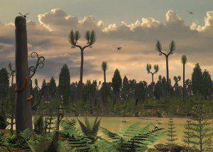 De la forêt houillère du Carbonifère à la formation du charbon