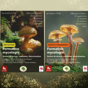 Mycologie Formations 2026