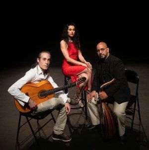 TRIO TARAB Y DUENDE 