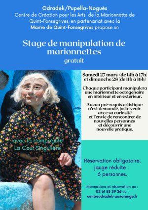 Stage de manipulation avec la Compagnie La Cour Singulière
