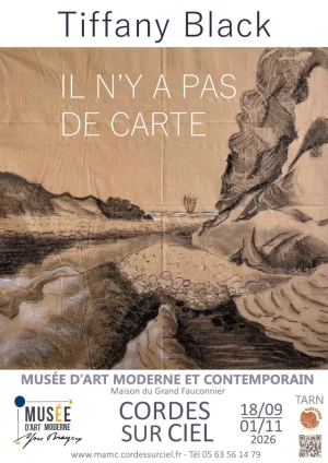 Il n'y a pas de carte