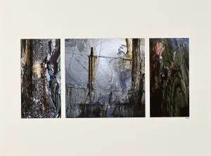 LEAH BOSQUET, Metamorfòsis, photographies